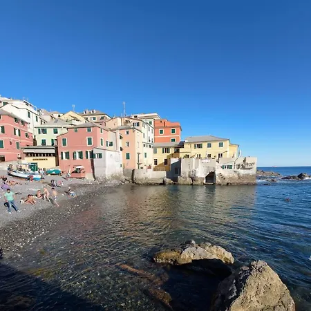 Salsedine Relais *