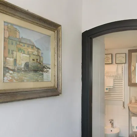 Salsedine Relais *